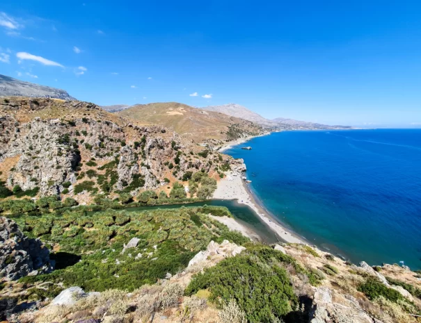 Palmowa plaża Preveli - widok z góry - wycieczka Preveli i Rethymno