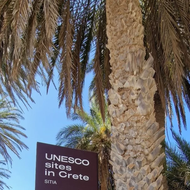 Plaża Vai - tabliczka Unesco - Magiczny Wschód Krety